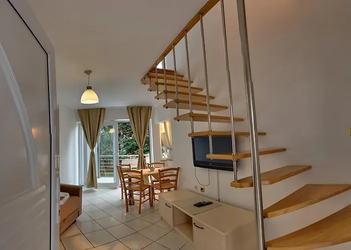 Vis A Vis * باشْكا